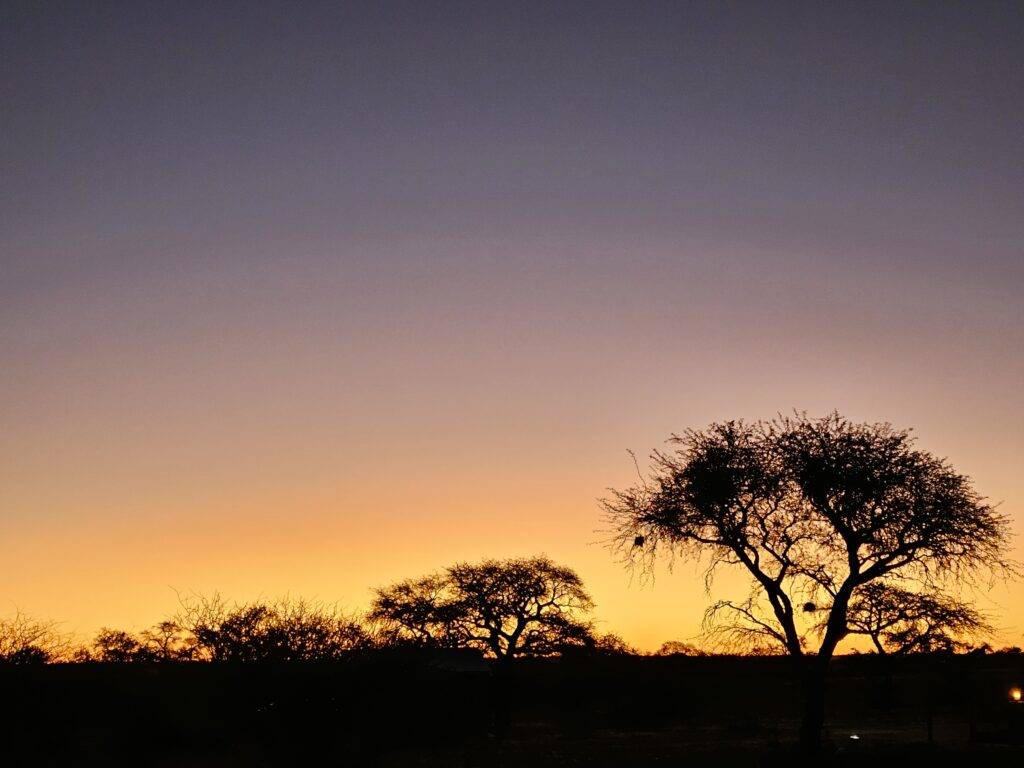 Desierto del Kalahari